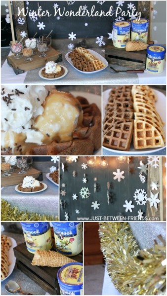 Winter Wonderland party