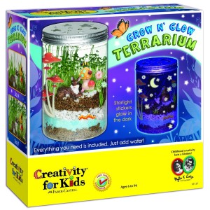 Grow and Glow Terrarium