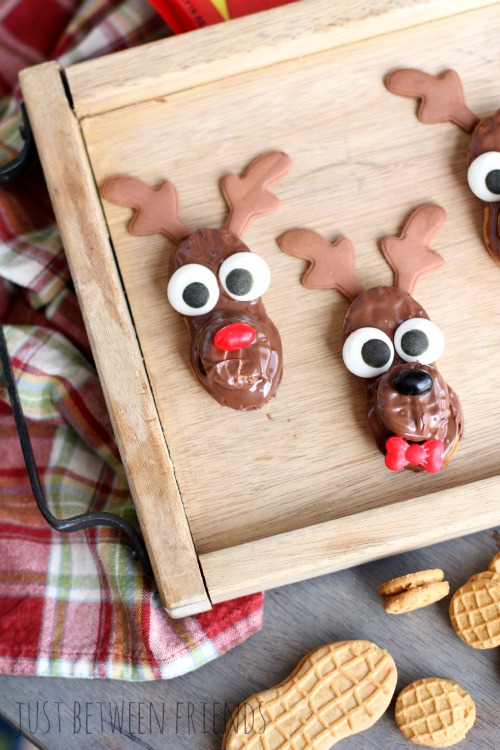 Reindeer Cookies