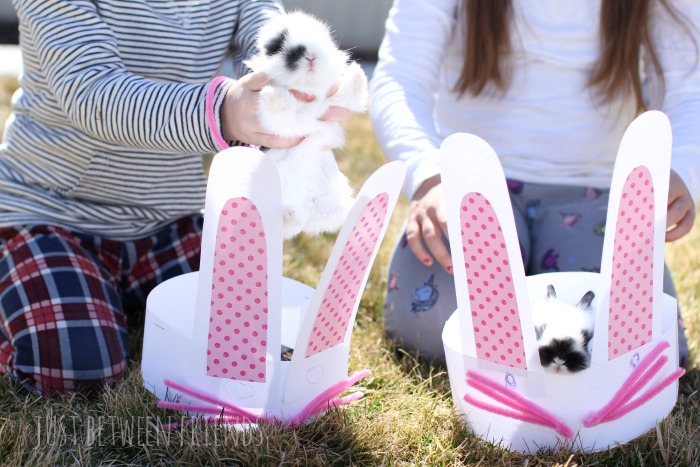 cute bunny craft for kids