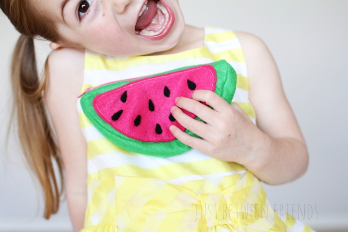 Watermelon coin purse