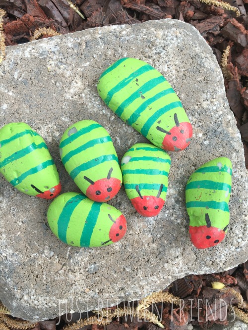 caterpillar rocks